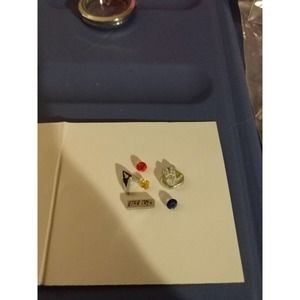 Star Trek Charms